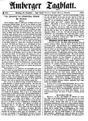 Amberger Tagblatt Samstag 20. Dezember 1873