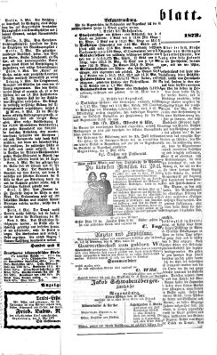 Regensburger Tagblatt Donnerstag 8. Mai 1873