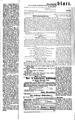 Regensburger Tagblatt Donnerstag 15. Mai 1873