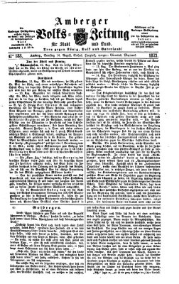 Amberger Volks-Zeitung für Stadt und Land Samstag 16. August 1873