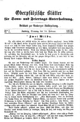 Oberpfälzische Blätter für Sonn- und Feiertags-Unterhaltung (Amberger Volks-Zeitung für Stadt und Land) Sonntag 16. Februar 1873