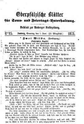 Oberpfälzische Blätter für Sonn- und Feiertags-Unterhaltung (Amberger Volks-Zeitung für Stadt und Land) Sonntag 1. Juni 1873