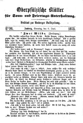 Oberpfälzische Blätter für Sonn- und Feiertags-Unterhaltung (Amberger Volks-Zeitung für Stadt und Land) Sonntag 8. Juni 1873