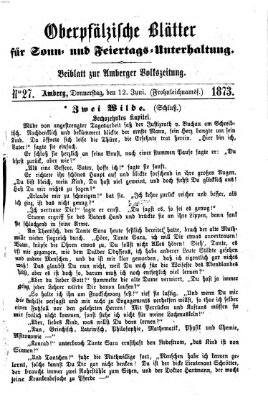 Oberpfälzische Blätter für Sonn- und Feiertags-Unterhaltung (Amberger Volks-Zeitung für Stadt und Land) Donnerstag 12. Juni 1873