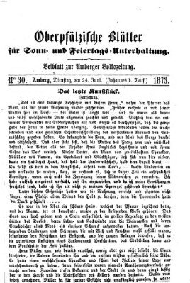 Oberpfälzische Blätter für Sonn- und Feiertags-Unterhaltung (Amberger Volks-Zeitung für Stadt und Land) Dienstag 24. Juni 1873