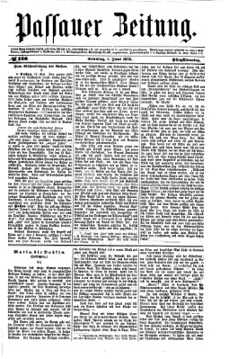 Passauer Zeitung Sonntag 1. Juni 1873