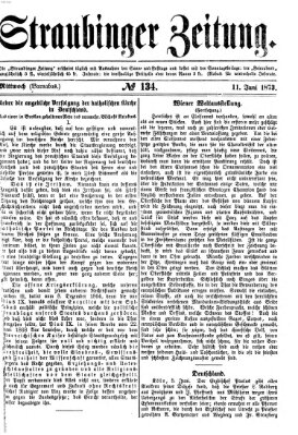 Straubinger Zeitung Mittwoch 11. Juni 1873