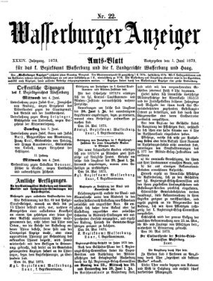 Wasserburger Anzeiger (Wasserburger Wochenblatt) Sonntag 1. Juni 1873