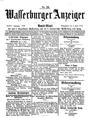 Wasserburger Anzeiger (Wasserburger Wochenblatt) Sonntag 8. Juni 1873