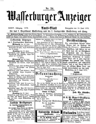 Wasserburger Anzeiger (Wasserburger Wochenblatt) Sonntag 15. Juni 1873