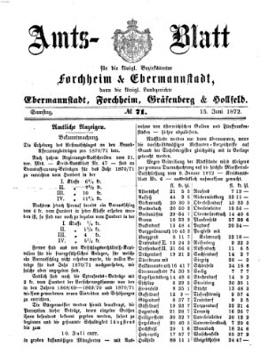 Amtsblatt für die Königlichen Bezirksämter Forchheim und Ebermannstadt sowie für die Königliche Stadt Forchheim Samstag 15. Juni 1872