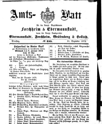 Amtsblatt für die Königlichen Bezirksämter Forchheim und Ebermannstadt sowie für die Königliche Stadt Forchheim Dienstag 31. Dezember 1872