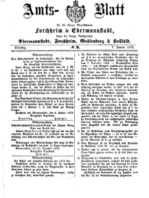 Amtsblatt für die Königlichen Bezirksämter Forchheim und Ebermannstadt sowie für die Königliche Stadt Forchheim Dienstag 7. Januar 1873