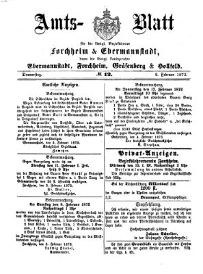 Amtsblatt für die Königlichen Bezirksämter Forchheim und Ebermannstadt sowie für die Königliche Stadt Forchheim Donnerstag 6. Februar 1873