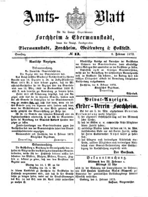 Amtsblatt für die Königlichen Bezirksämter Forchheim und Ebermannstadt sowie für die Königliche Stadt Forchheim Samstag 8. Februar 1873