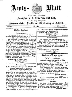 Amtsblatt für die Königlichen Bezirksämter Forchheim und Ebermannstadt sowie für die Königliche Stadt Forchheim Dienstag 11. Februar 1873