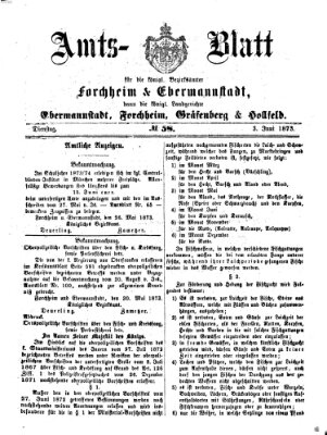 Amtsblatt für die Königlichen Bezirksämter Forchheim und Ebermannstadt sowie für die Königliche Stadt Forchheim Dienstag 3. Juni 1873