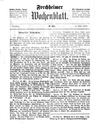 Amtsblatt für die Königlichen Bezirksämter Forchheim und Ebermannstadt sowie für die Königliche Stadt Forchheim Dienstag 3. Juni 1873