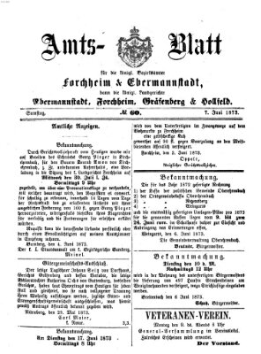 Amtsblatt für die Königlichen Bezirksämter Forchheim und Ebermannstadt sowie für die Königliche Stadt Forchheim Samstag 7. Juni 1873