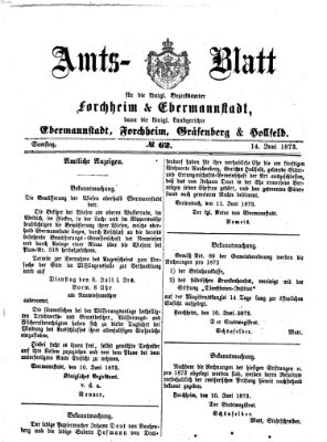 Amtsblatt für die Königlichen Bezirksämter Forchheim und Ebermannstadt sowie für die Königliche Stadt Forchheim Samstag 14. Juni 1873