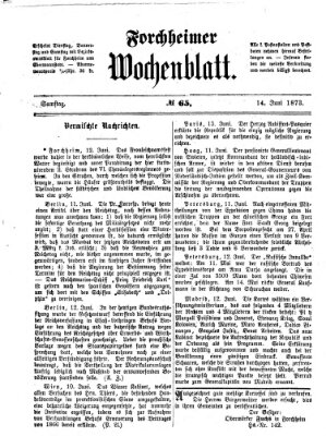 Amtsblatt für die Königlichen Bezirksämter Forchheim und Ebermannstadt sowie für die Königliche Stadt Forchheim Samstag 14. Juni 1873