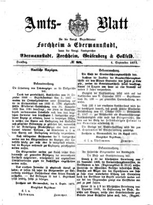 Amtsblatt für die Königlichen Bezirksämter Forchheim und Ebermannstadt sowie für die Königliche Stadt Forchheim Samstag 6. September 1873