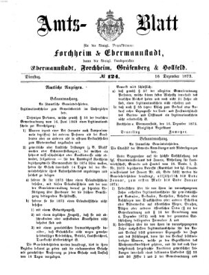 Amtsblatt für die Königlichen Bezirksämter Forchheim und Ebermannstadt sowie für die Königliche Stadt Forchheim Dienstag 16. Dezember 1873