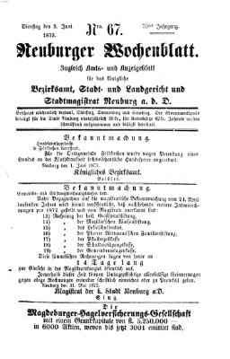 Neuburger Wochenblatt Dienstag 3. Juni 1873