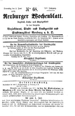 Neuburger Wochenblatt Donnerstag 5. Juni 1873