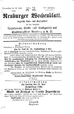 Neuburger Wochenblatt Donnerstag 12. Juni 1873