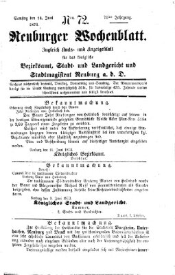 Neuburger Wochenblatt Samstag 14. Juni 1873