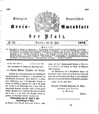 Königlich-bayerisches Kreis-Amtsblatt der Pfalz (Königlich bayerisches Amts- und Intelligenzblatt für die Pfalz) Samstag 15. Juni 1872