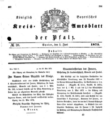 Königlich-bayerisches Kreis-Amtsblatt der Pfalz (Königlich bayerisches Amts- und Intelligenzblatt für die Pfalz) Dienstag 3. Juni 1873