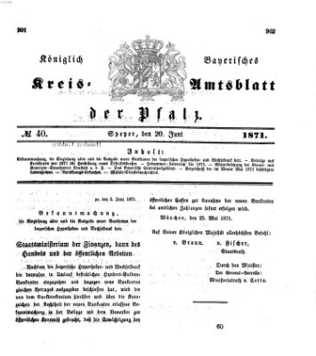 Königlich-bayerisches Kreis-Amtsblatt der Pfalz (Königlich bayerisches Amts- und Intelligenzblatt für die Pfalz) Dienstag 20. Juni 1871