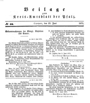 Königlich-bayerisches Kreis-Amtsblatt der Pfalz (Königlich bayerisches Amts- und Intelligenzblatt für die Pfalz) Dienstag 13. Juni 1871