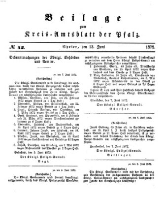 Königlich-bayerisches Kreis-Amtsblatt der Pfalz (Königlich bayerisches Amts- und Intelligenzblatt für die Pfalz) Donnerstag 13. Juni 1872