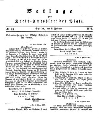 Königlich-bayerisches Kreis-Amtsblatt der Pfalz (Königlich bayerisches Amts- und Intelligenzblatt für die Pfalz) Samstag 8. Februar 1873