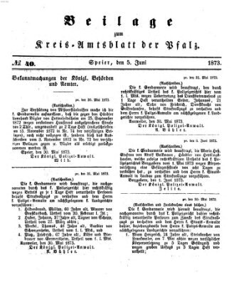 Königlich-bayerisches Kreis-Amtsblatt der Pfalz (Königlich bayerisches Amts- und Intelligenzblatt für die Pfalz) Donnerstag 5. Juni 1873