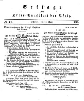 Königlich-bayerisches Kreis-Amtsblatt der Pfalz (Königlich bayerisches Amts- und Intelligenzblatt für die Pfalz) Mittwoch 11. Juni 1873