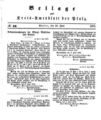 Königlich-bayerisches Kreis-Amtsblatt der Pfalz (Königlich bayerisches Amts- und Intelligenzblatt für die Pfalz) Montag 16. Juni 1873