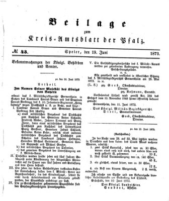 Königlich-bayerisches Kreis-Amtsblatt der Pfalz (Königlich bayerisches Amts- und Intelligenzblatt für die Pfalz) Donnerstag 19. Juni 1873