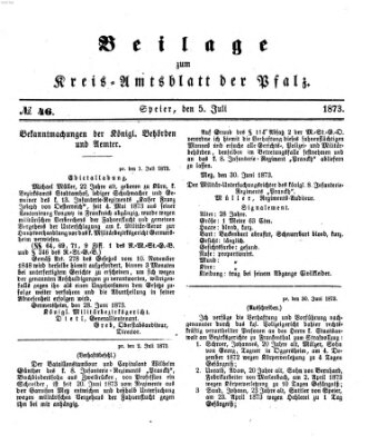 Königlich-bayerisches Kreis-Amtsblatt der Pfalz (Königlich bayerisches Amts- und Intelligenzblatt für die Pfalz) Samstag 5. Juli 1873