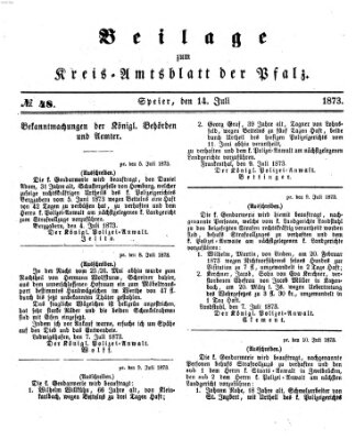 Königlich-bayerisches Kreis-Amtsblatt der Pfalz (Königlich bayerisches Amts- und Intelligenzblatt für die Pfalz) Montag 14. Juli 1873