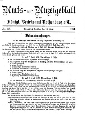 Amts- und Anzeigenblatt für das Königliche Bezirksamt Rothenburg o.T. (Amts- und Anzeigenblatt für die Stadt und das Königl. Bezirksamt Rothenburg) Samstag 14. Juni 1873