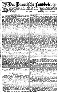 Der Bayerische Landbote Samstag 7. Juni 1873