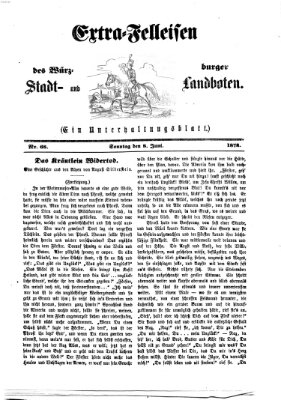 Extra-Felleisen (Würzburger Stadt- und Landbote) Sonntag 8. Juni 1873