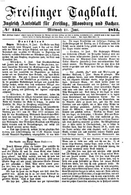 Freisinger Tagblatt (Freisinger Wochenblatt) Mittwoch 11. Juni 1873