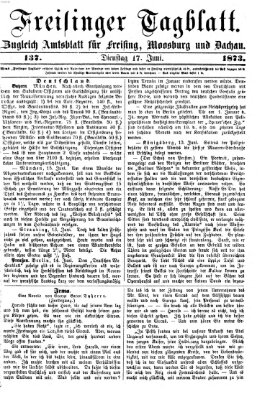 Freisinger Tagblatt (Freisinger Wochenblatt) Dienstag 17. Juni 1873