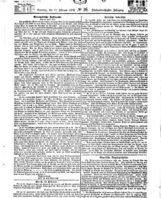 Fürther Tagblatt Sonntag 11. Februar 1872