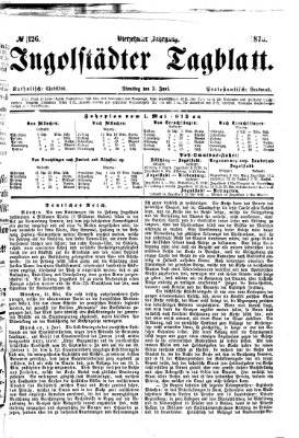 Ingolstädter Tagblatt Dienstag 3. Juni 1873